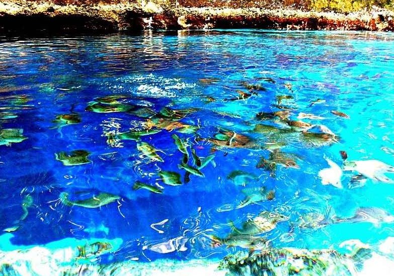 Hinatuan Enchanted River, Surigao del Sur, Philippines